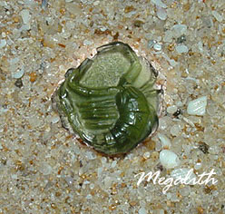 Moldavit_Bild 10